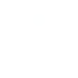 Logo audit